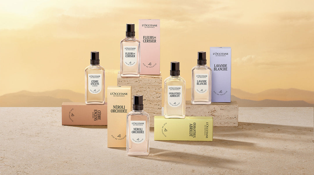 10 Women’s Luxury Perfume Recommendations