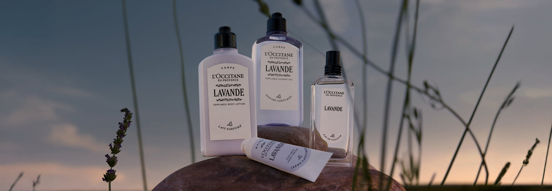 LAVANDE COLLECTION