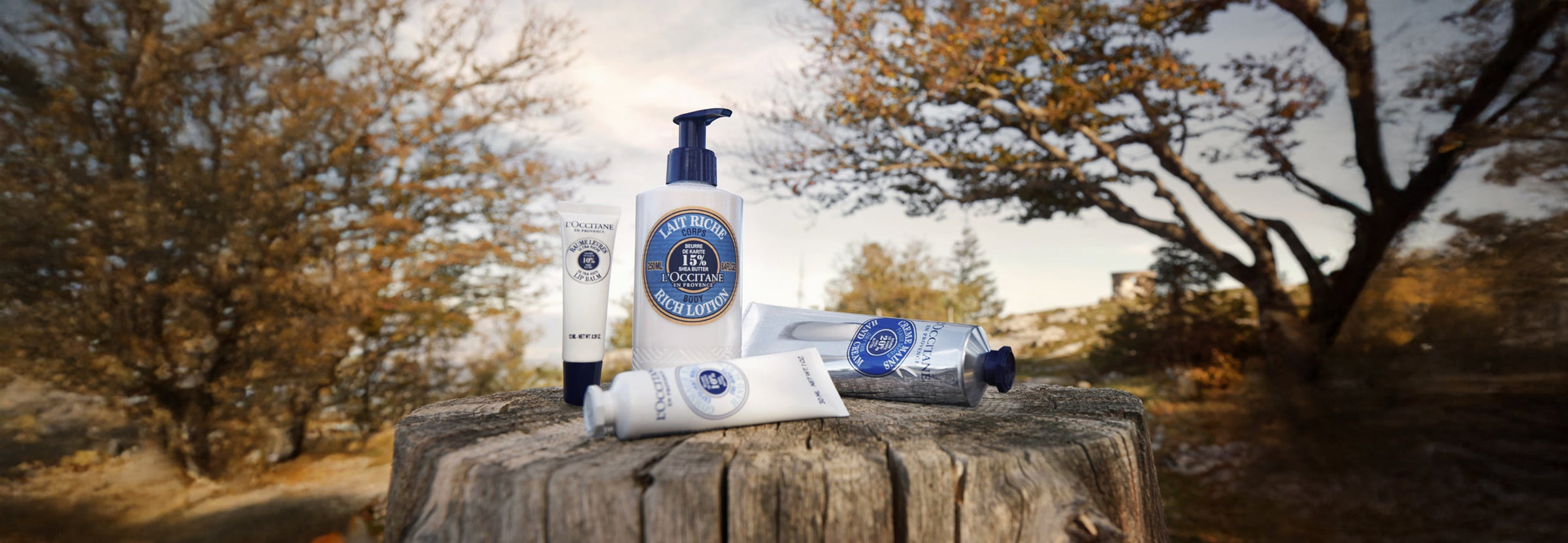 Shea Butter Collection