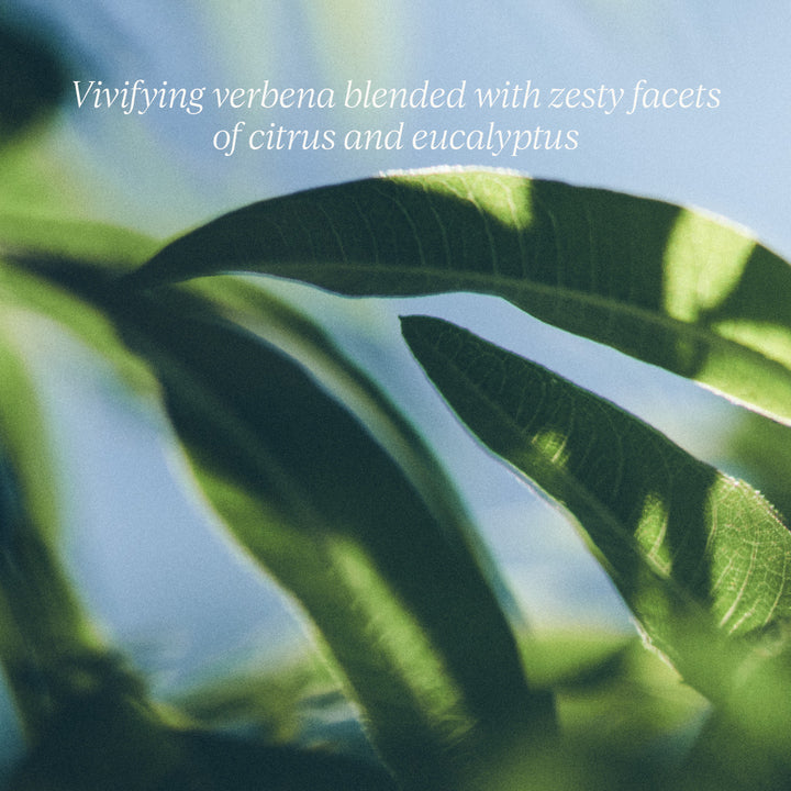 Le Savon Verveine Verbena Extra-Gentle Body Soap 250g