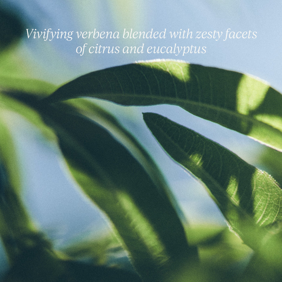 Le Savon Verveine Verbena Extra-Gentle Body Soap 250g