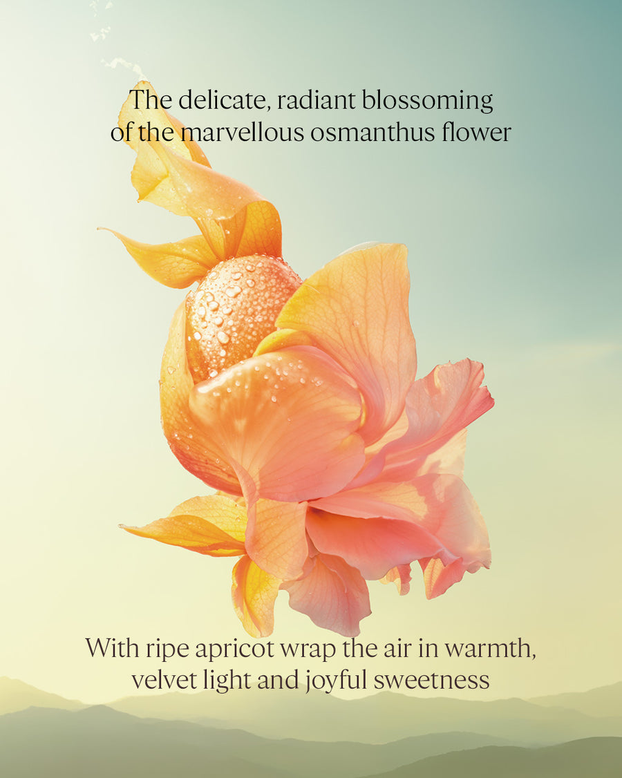 Osmanthus Abricot Shower Oil 250ml