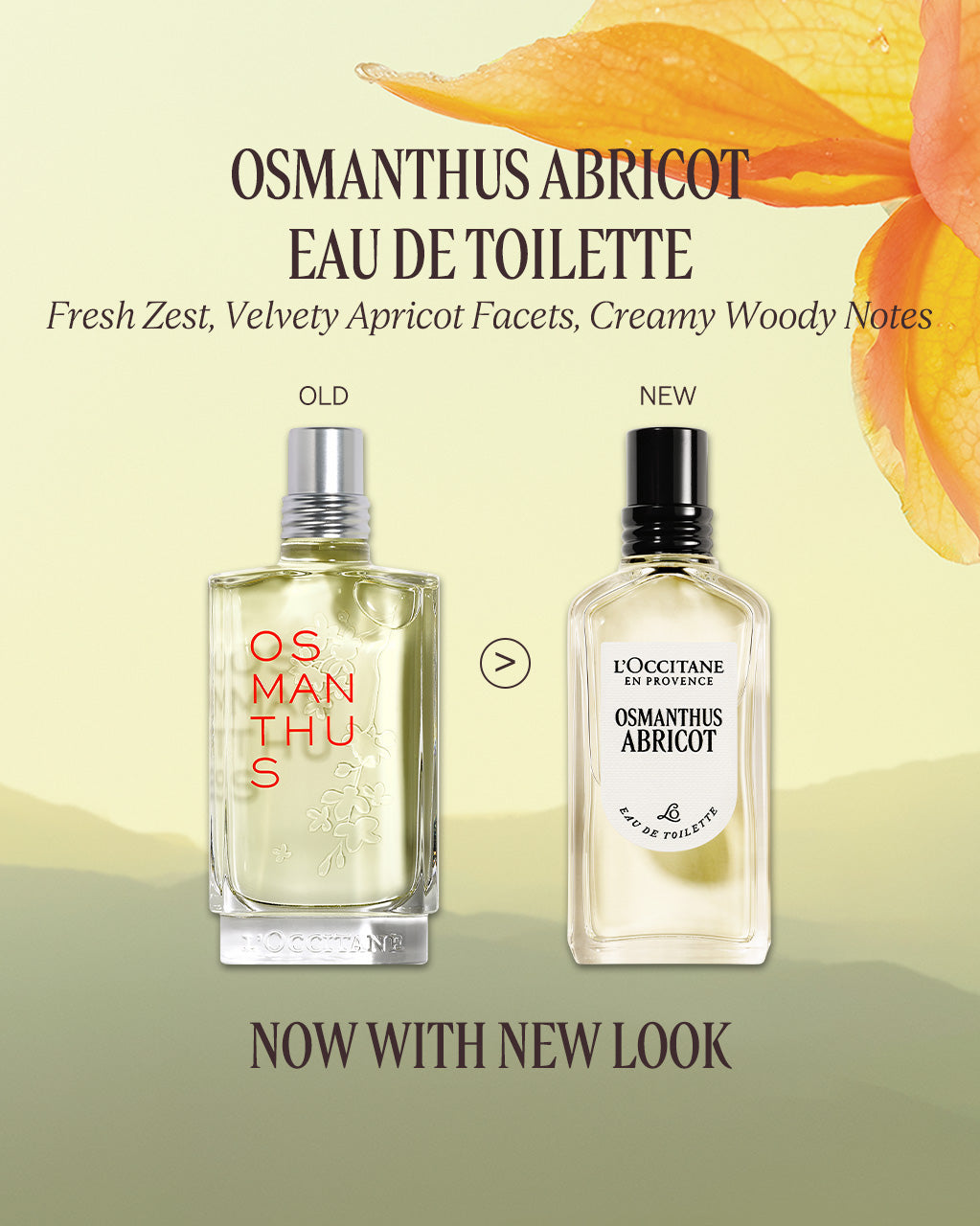 Osmanthus Abricot Eau De Toilette 50ml