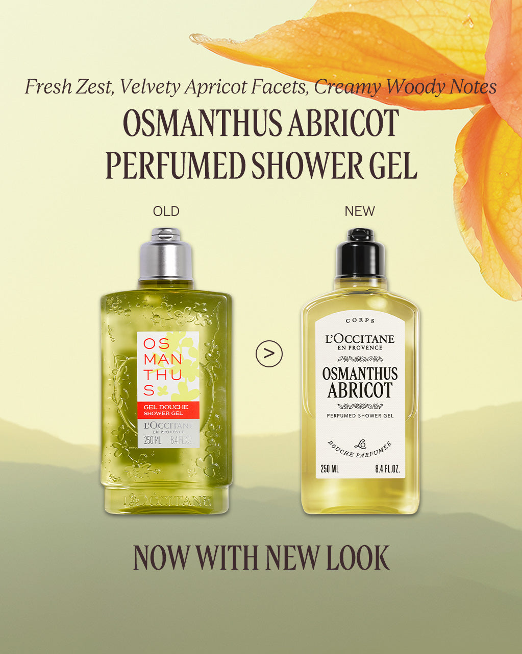 Osmanthus Abricot Perfumed Shower Gel 250ml