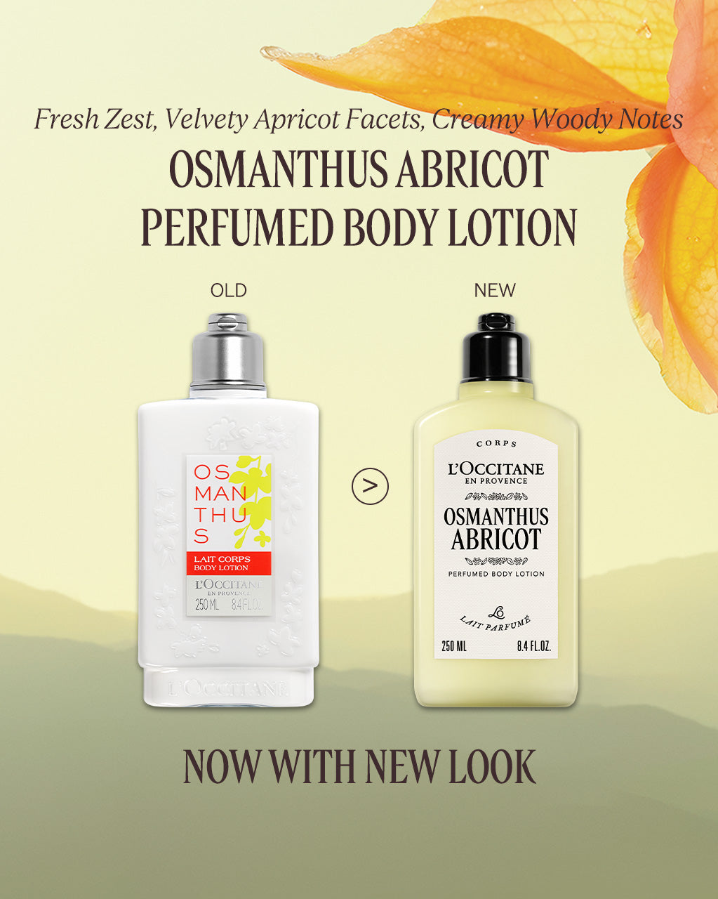 The Signature Osmanthus Gift Set