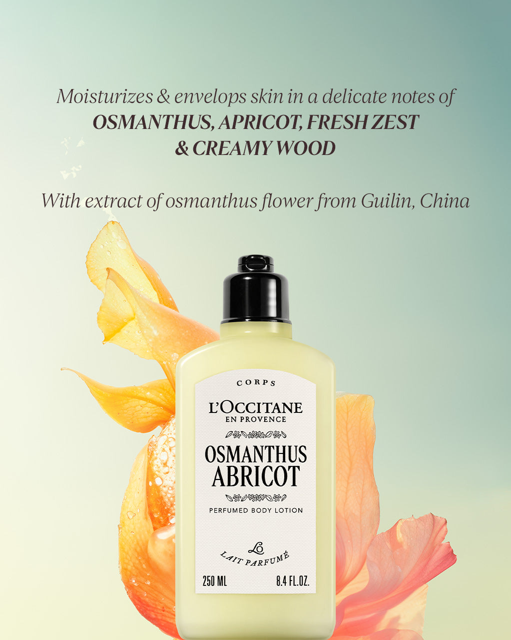 The Signature Osmanthus Gift Set