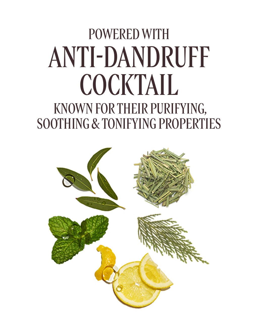 Anti Dandruff Shampoo 300ml