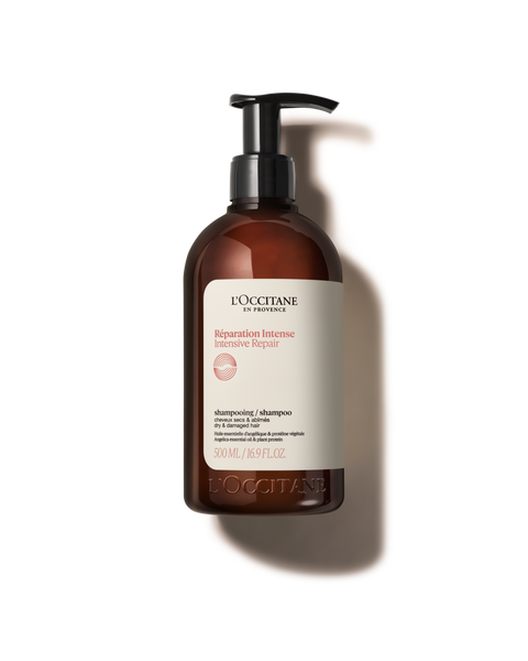 L'OCCITANE Réparation Intense 500mL セット Buy Intensive Repair Shampoo 500ml | L'Occitane Indonesia