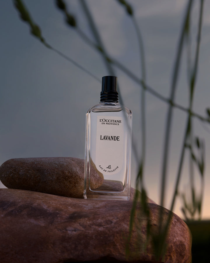 Lavande Eau de Toilette 75ml