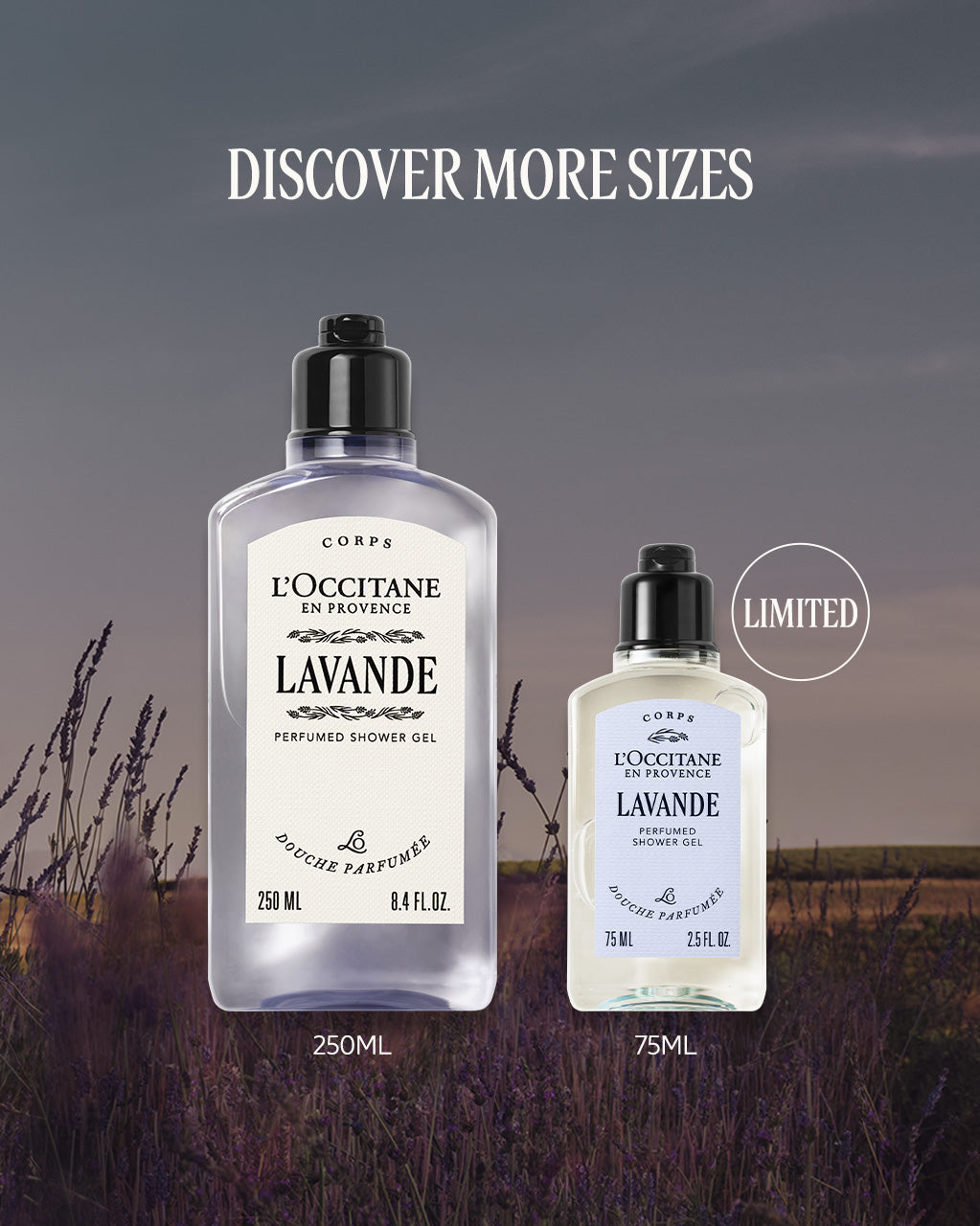 Lavande Perfumed Shower Gel 75ml