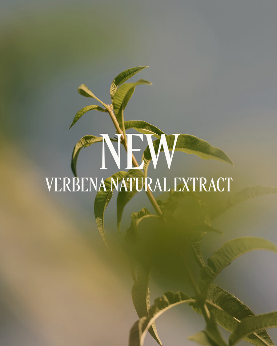 Verveine - Body Lotion 75ml