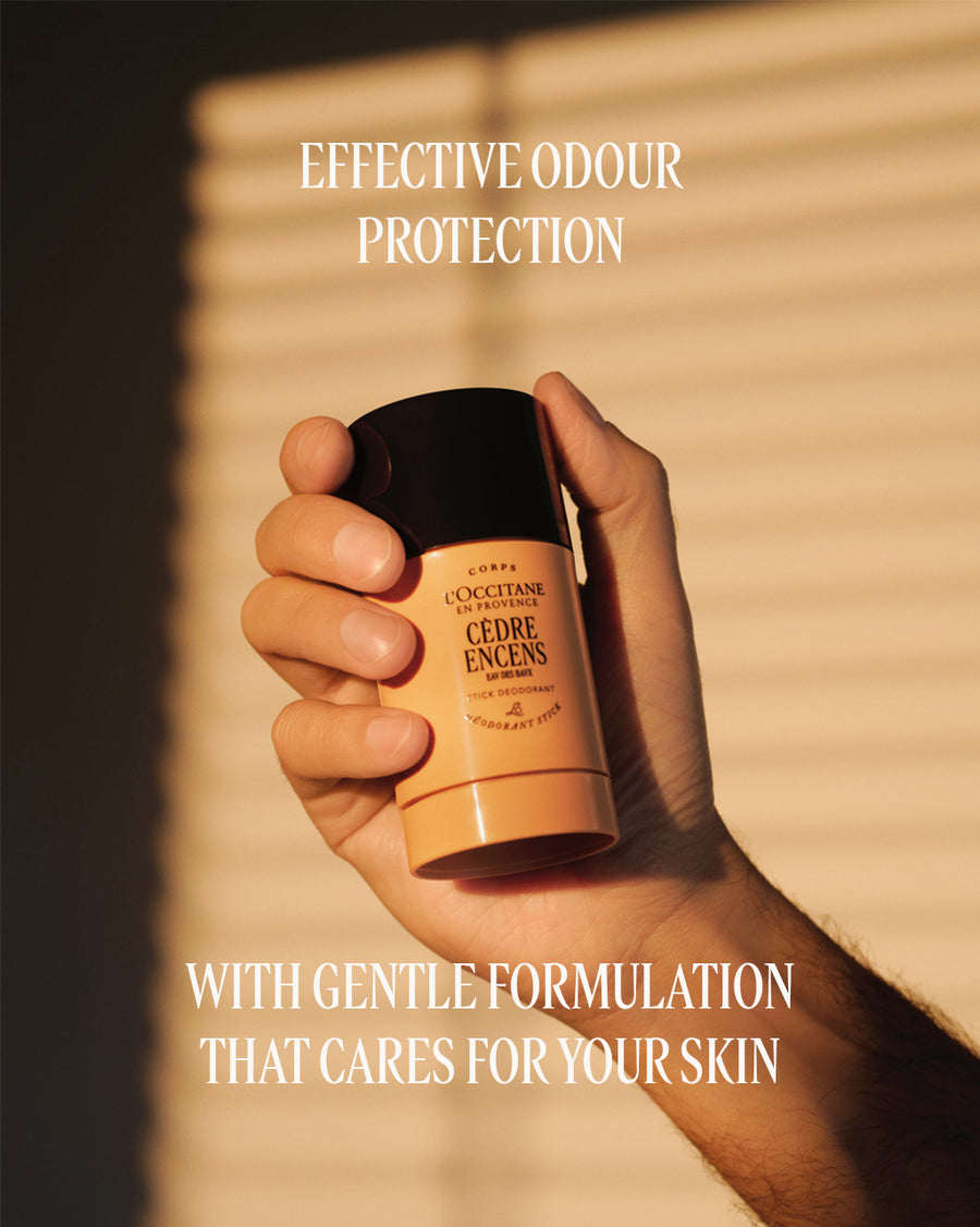Cèdre Encens Stick Deodorant Refill 70g