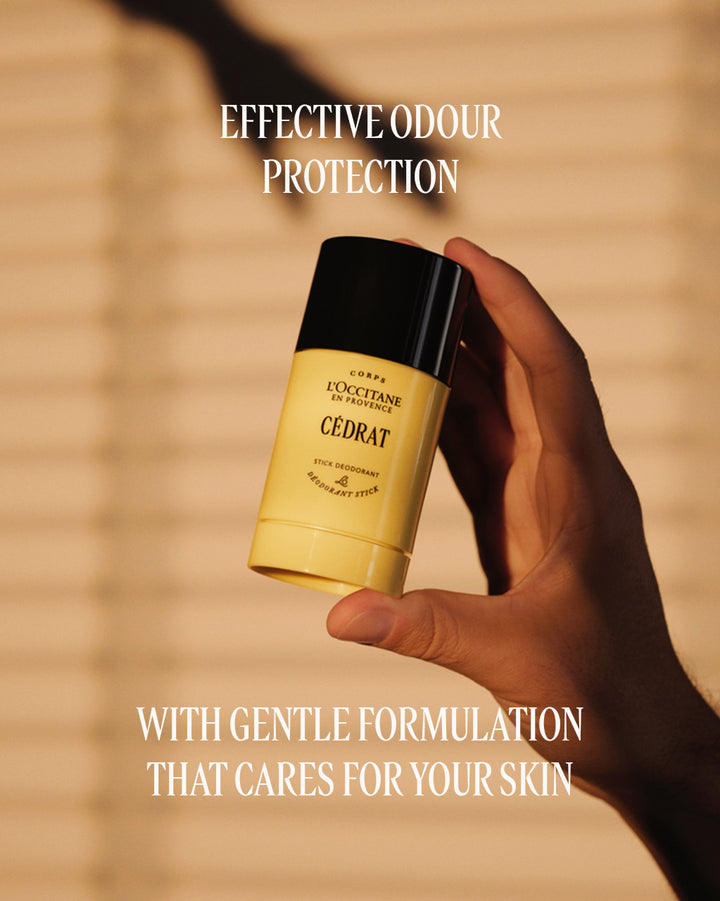 Cédrat Stick Deodorant Refill 70g