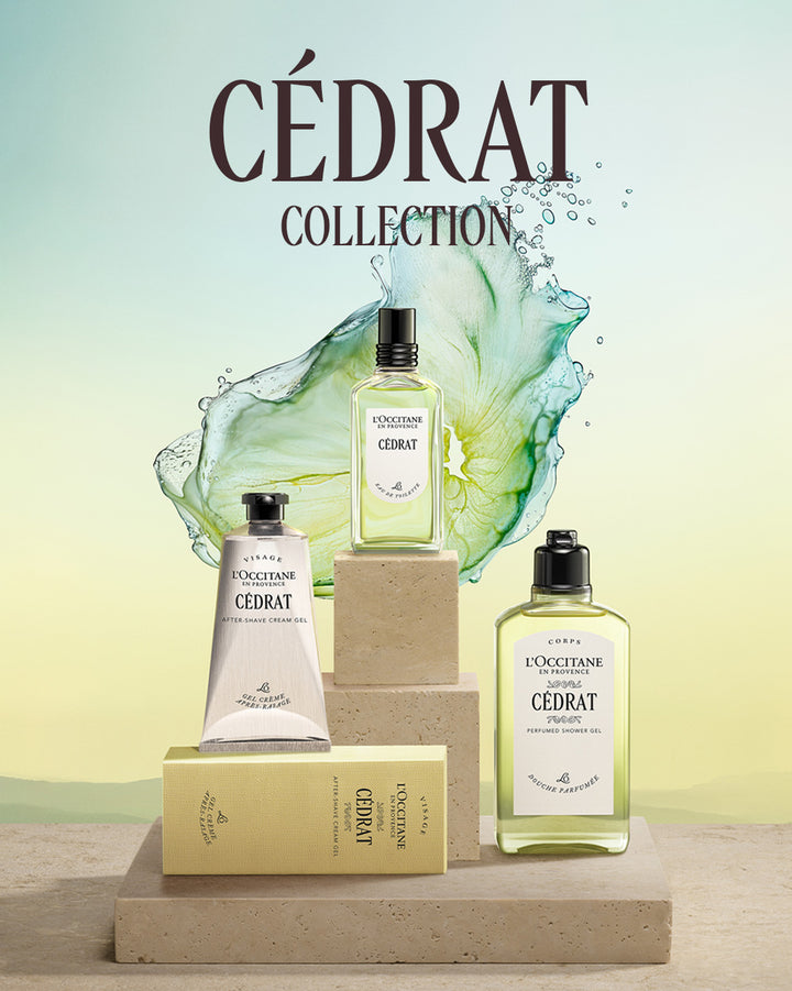 Cédrat Stick Deodorant Refill 70g