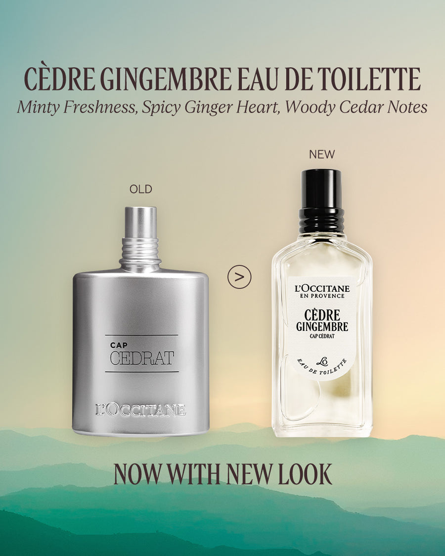 Cèdre Gingembre Eau De Toilette 50ml