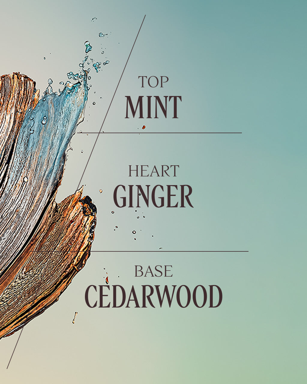 Cèdre Gingembre Eau De Toilette 50ml