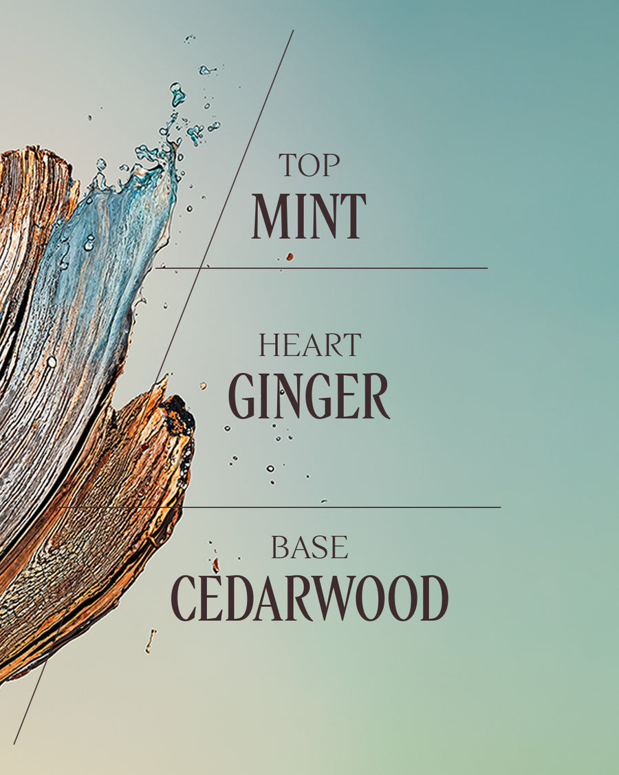 Cèdre Gingembre Eau De Toilette 50ml