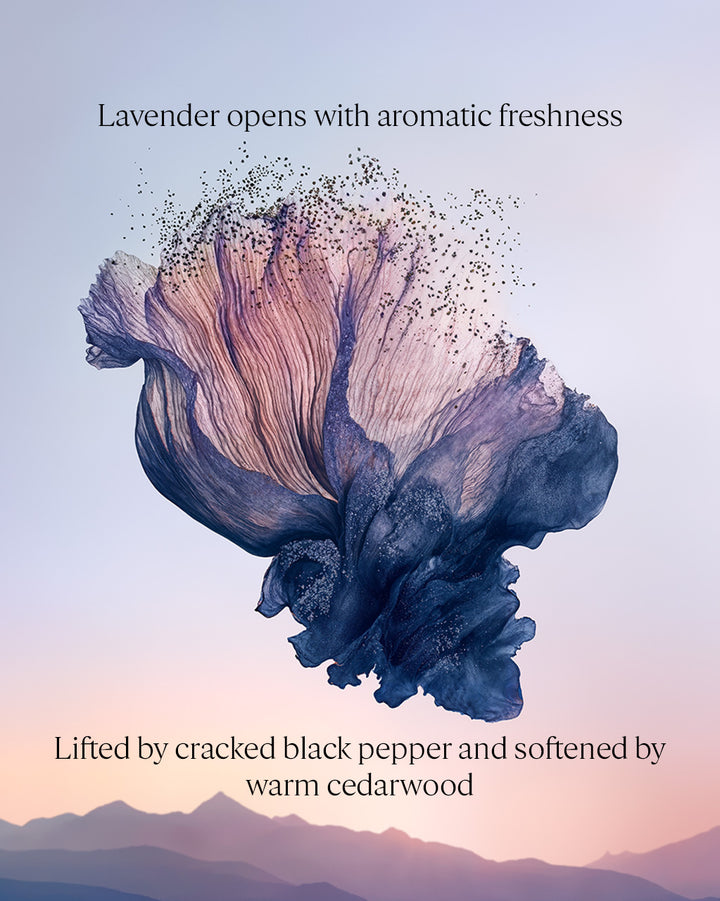 Art of Scents - Mens Lavande Poivre Noir EDT 50ml
