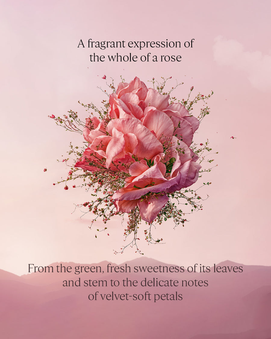 Rose Eau De Toilette 50ml