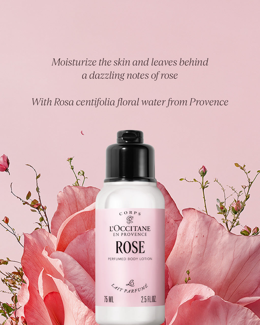 Rose Perfumed Body Lotion 75ml