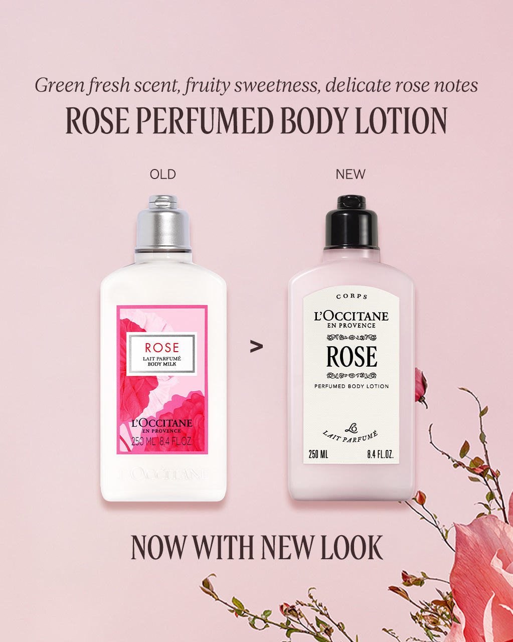 Rose Perfumed Body Lotion 250ml