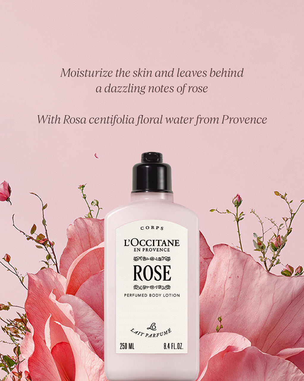 Rose Perfumed Body Lotion 250ml