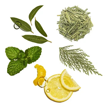 Anti-Dandruff Cocktail