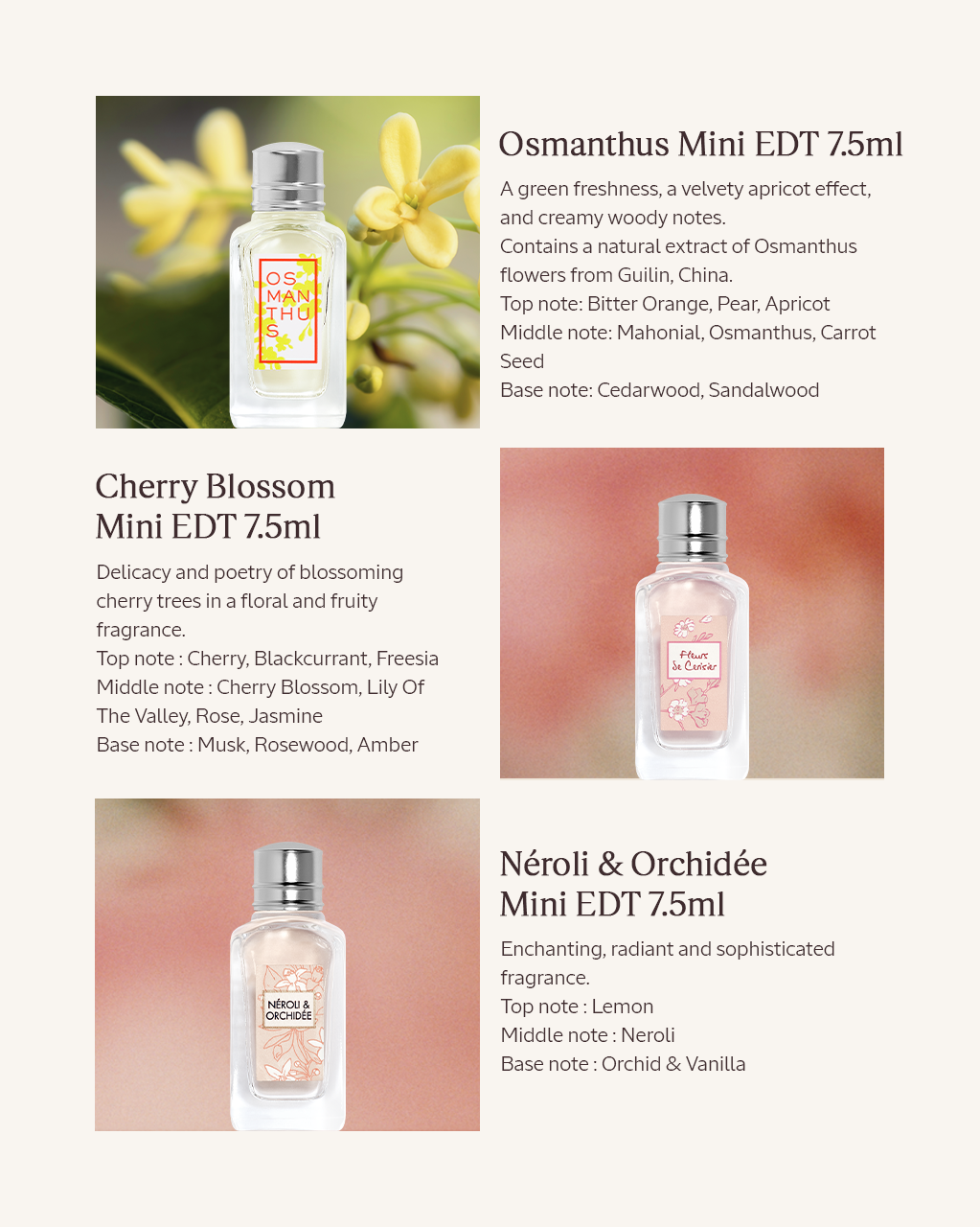 Best Floral Fragrance Trial Kit