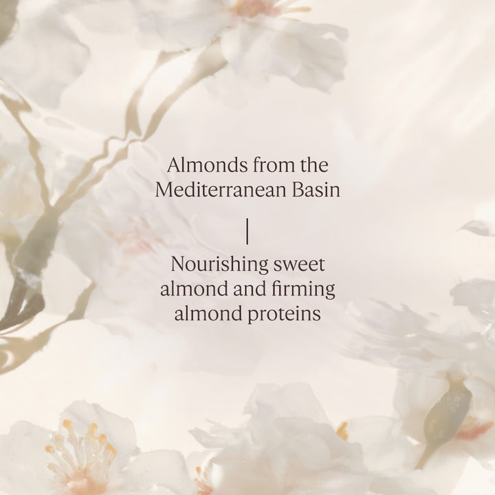 Lunar New Year Set - Almond Milk Concentrate