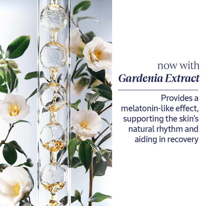 Lunar New Year Set - Reset Oil in Serum