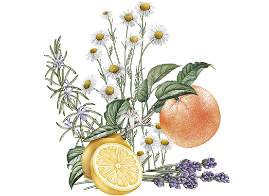 Gentle & Balance Shampoo Refill 500ml