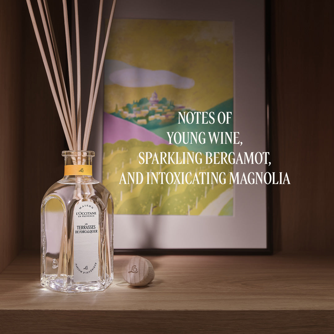 Home Fragrance Diffuser Set