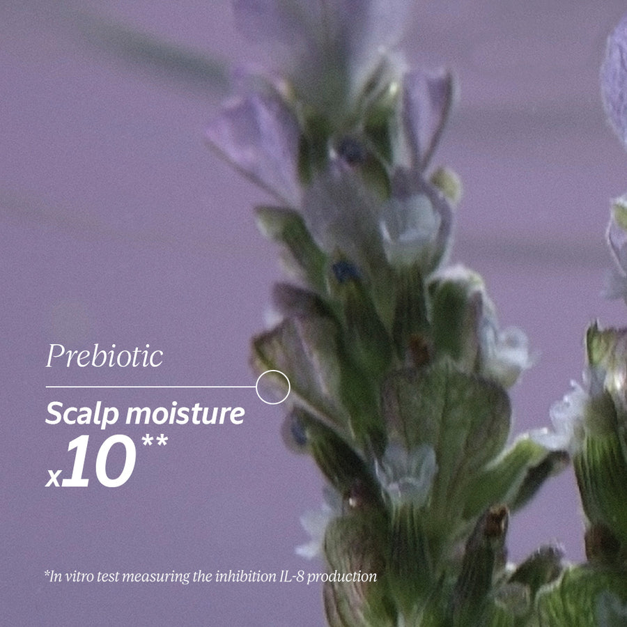 Hair & Scalp Smoothing Gift Set