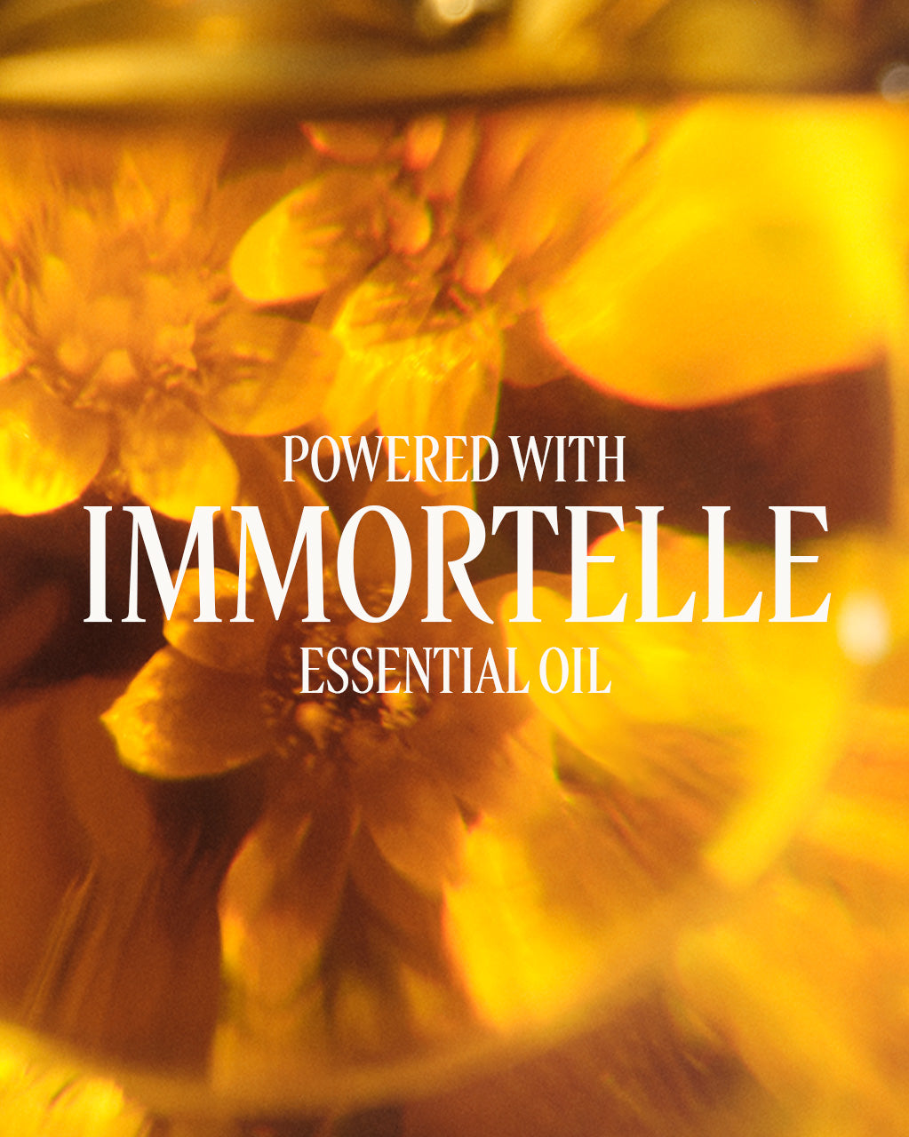 Immortelle Divine Hand & Body Care Duo