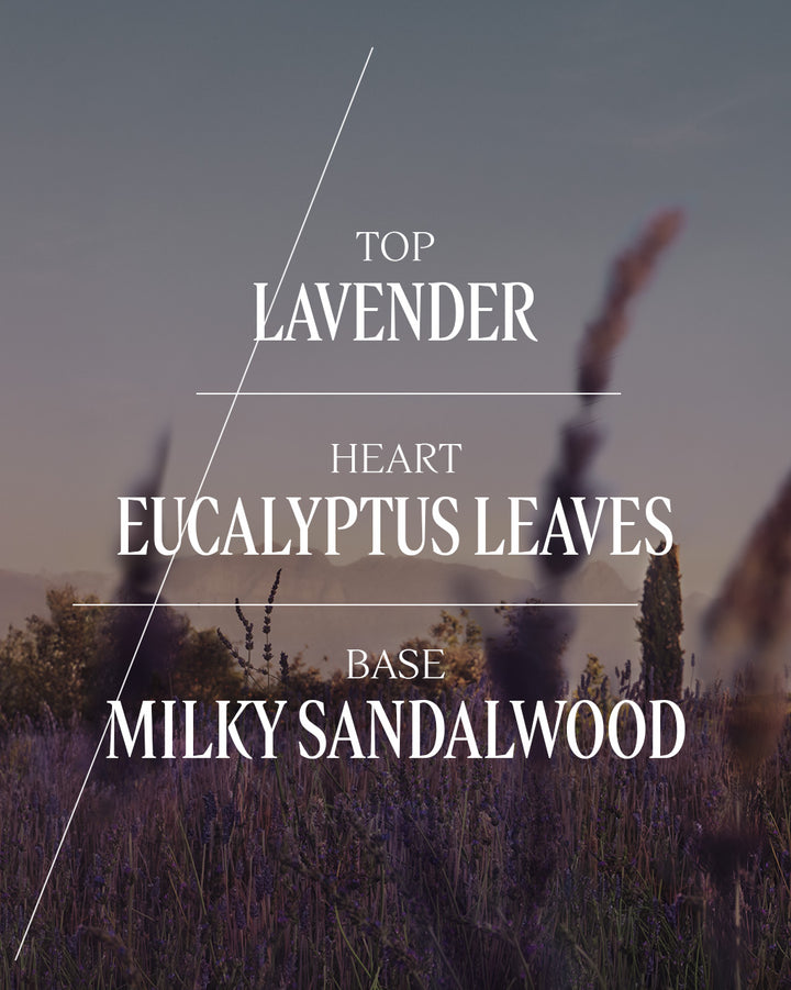 Lavender Body Duo Gift Set