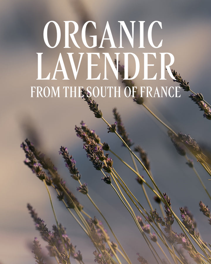 Lavender Body Duo Gift Set