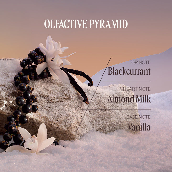 Nuit Festive Magical Collection