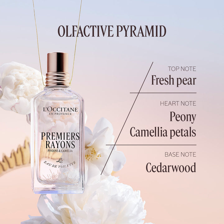 Premiers Rayons Delightful Collection