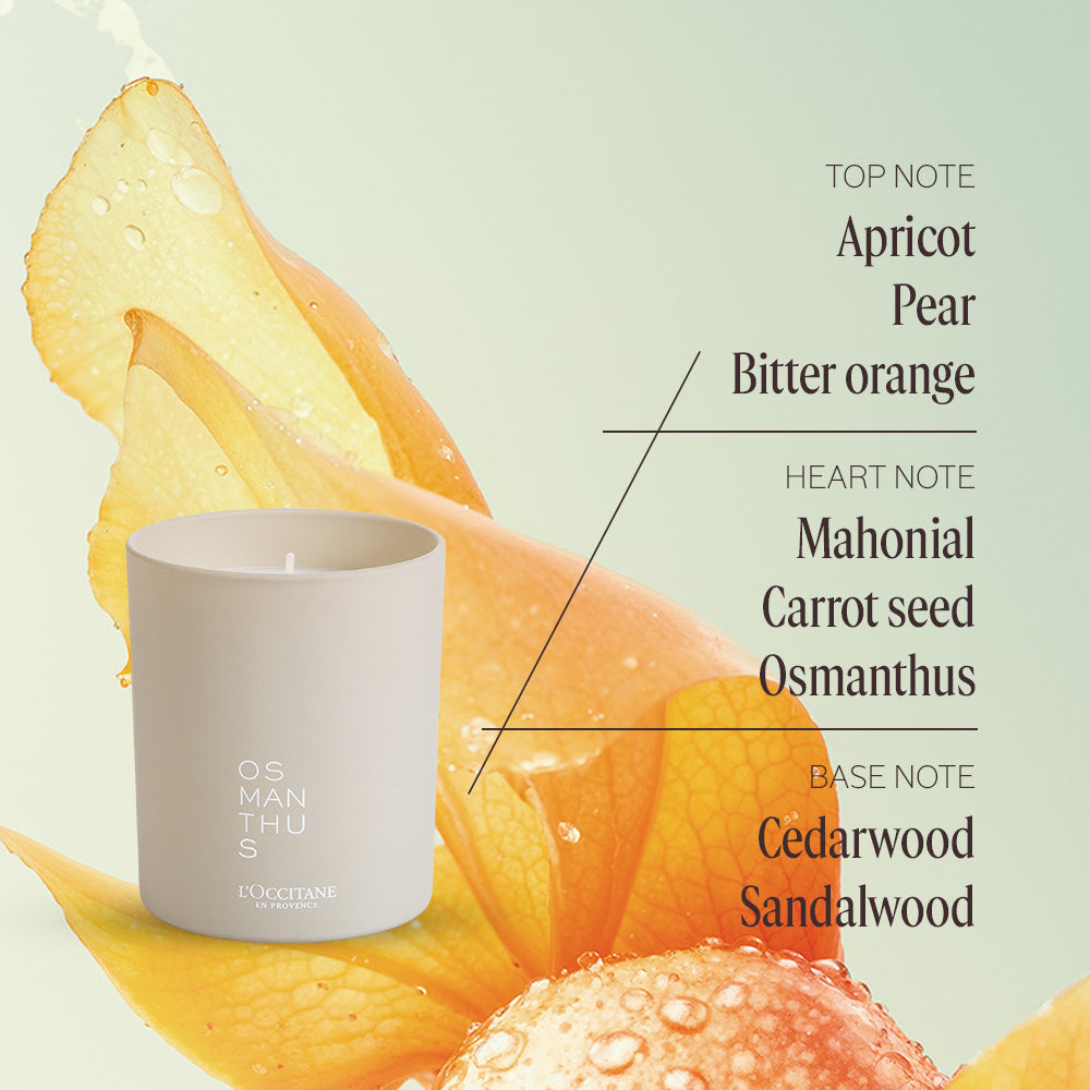 Serenity Self-Care Duo