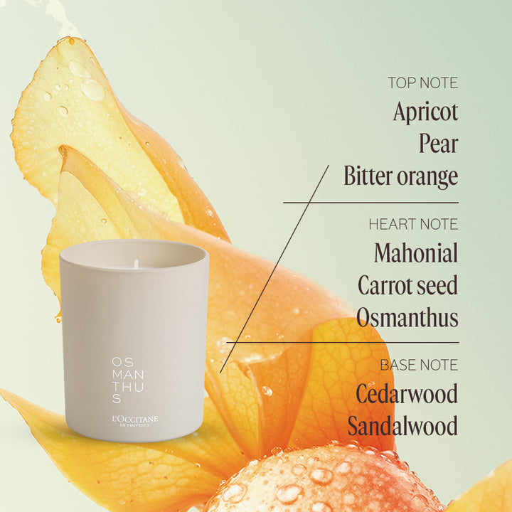 Serenity Self-Care Duo