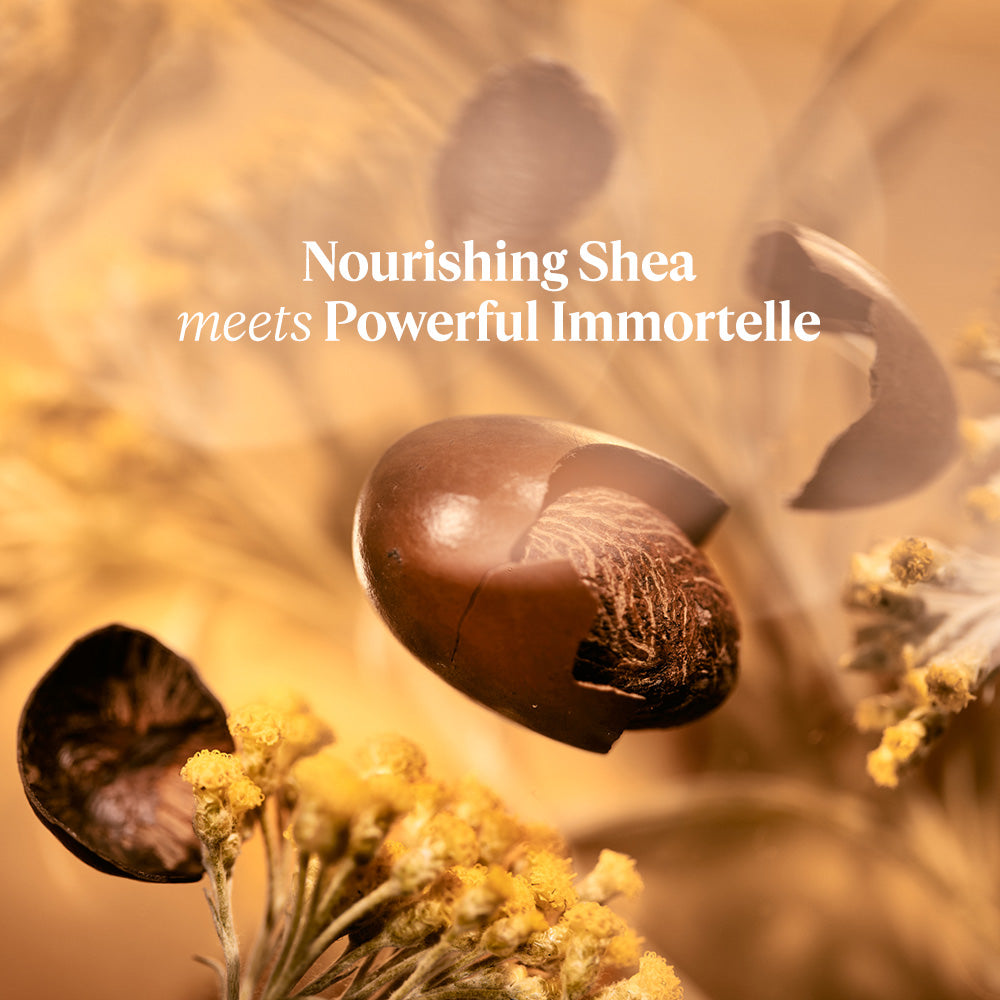 Shea Immortelle Premium Duo