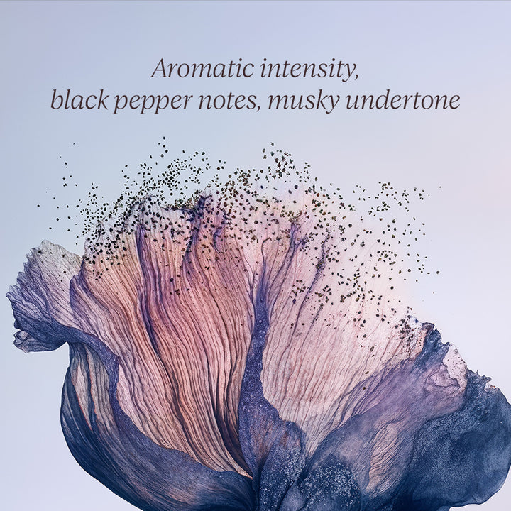 The Gentleman Gift Set