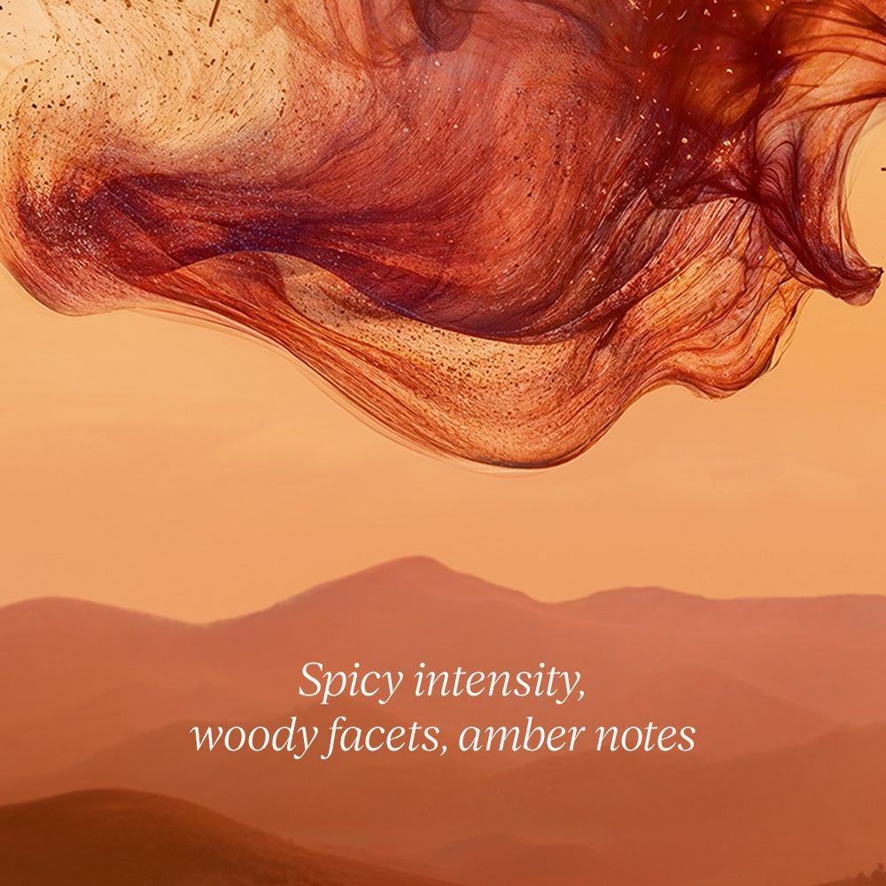 The Gentleman Gift Set