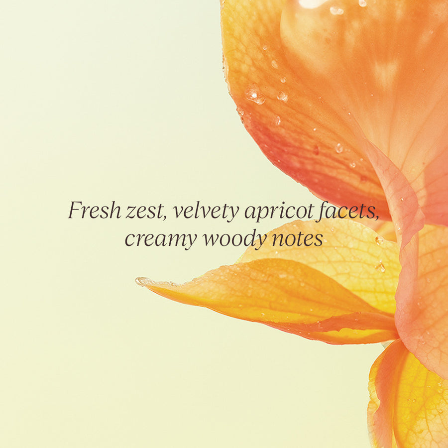 The Signature Osmanthus Gift Set