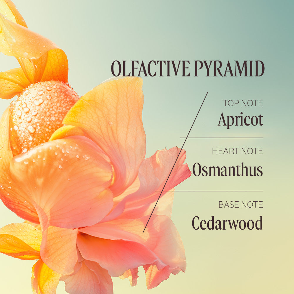 The Signature Osmanthus Gift Set