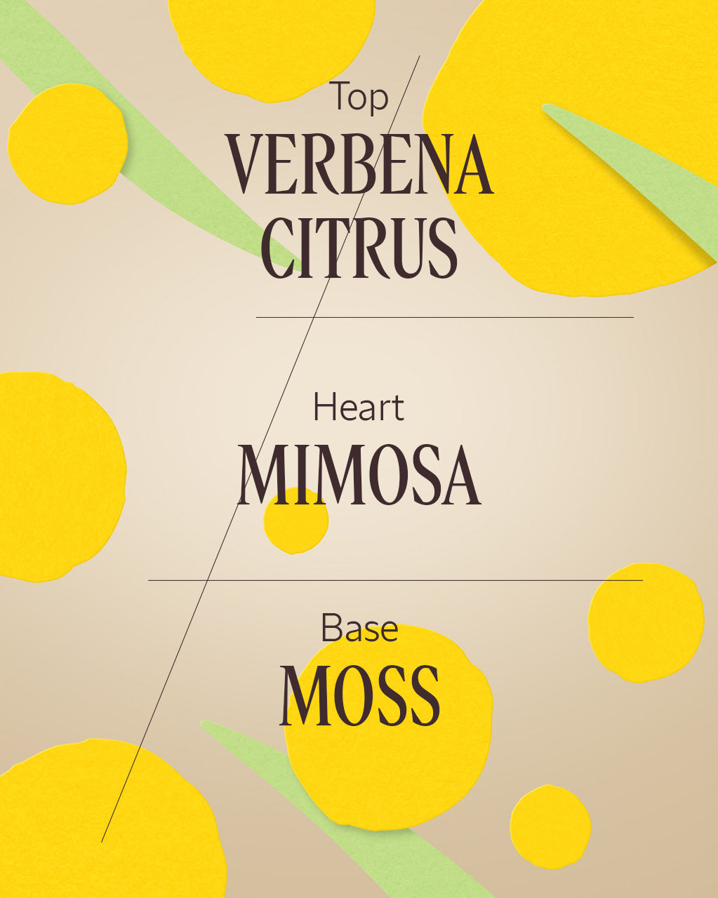 Mimosa Verveine Fragrance Trio