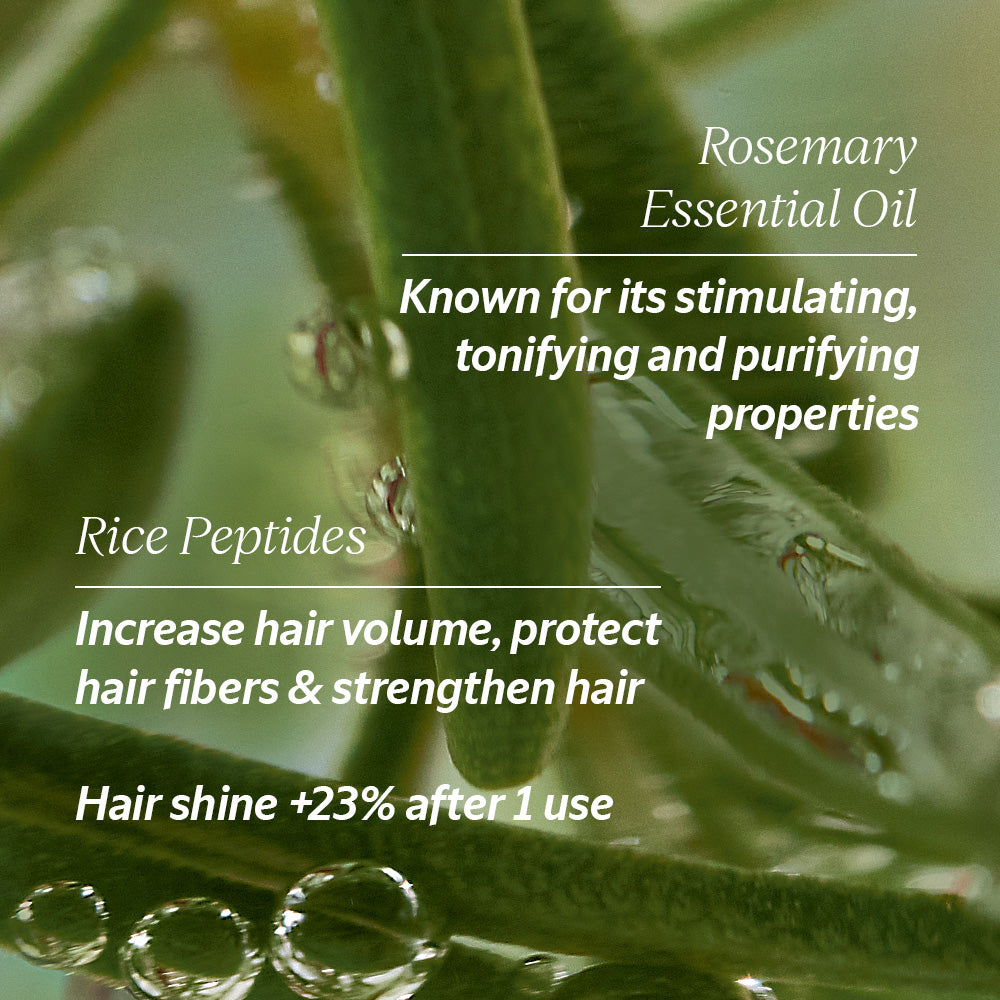 Volume & Strength Refill Duo