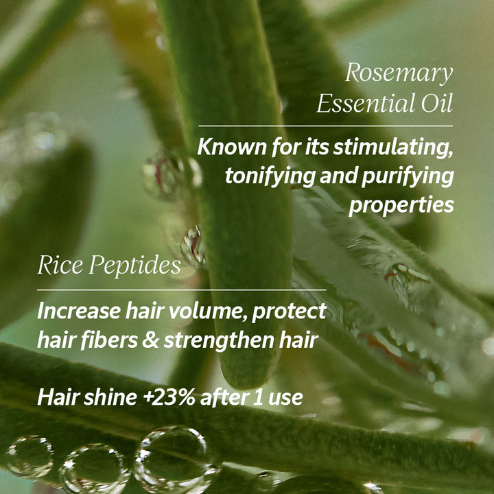 Volume & Strength Refill Duo