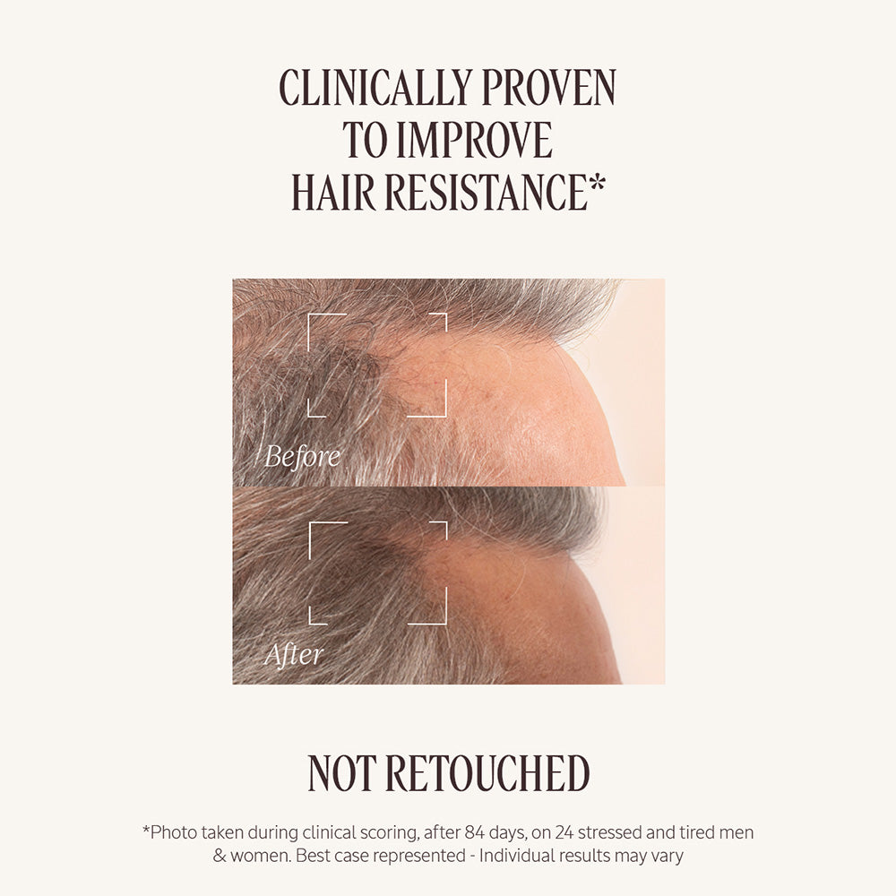 Volume Revival Gift Set