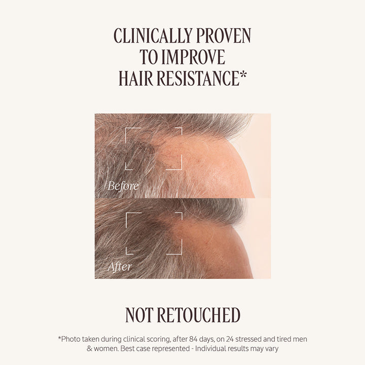 Volume Revival Gift Set